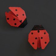 easy origami ladybug