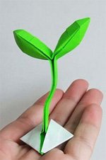 origami spring