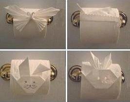 Toilet Paper origami