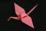 complete origami