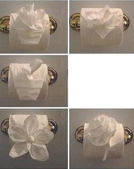 Toilet Paper origami