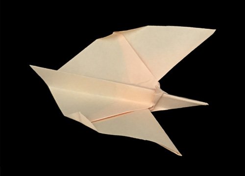 origami Pterandon