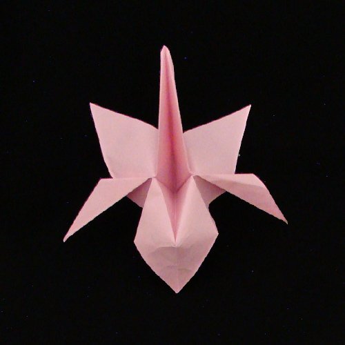 origami orchid