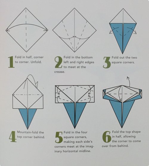 Origami Shapes LaFosse