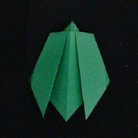 origami insect
