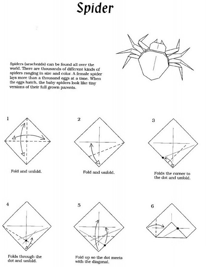origami spider